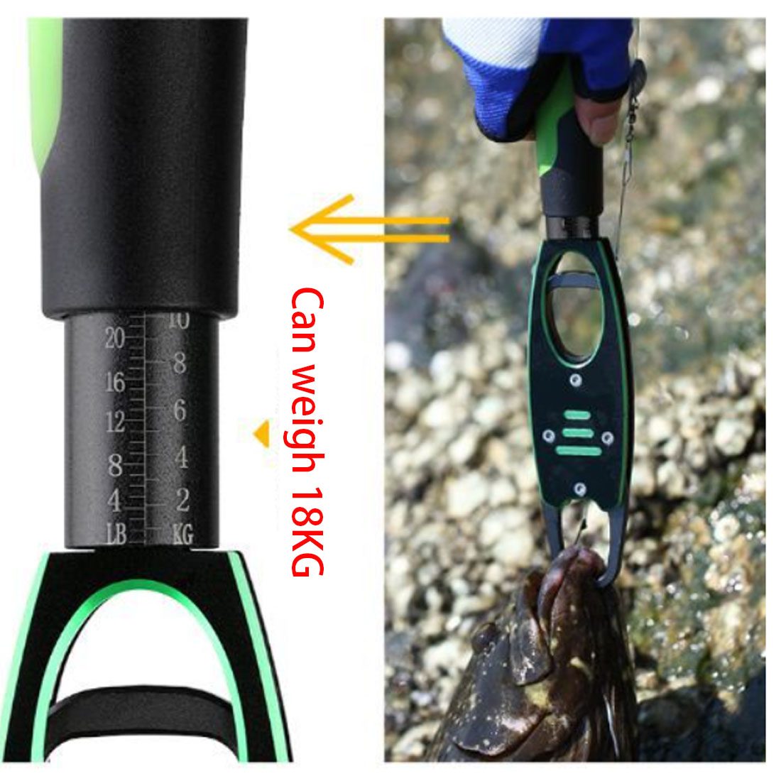 TAKEDO gran oferta BL-040 empu - Fishing Pliers reseña y precio