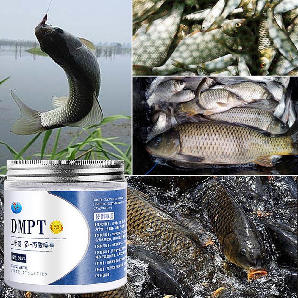 50g Real DMPT cebo de pesca de - Fishing Equipment Market reseña y precio